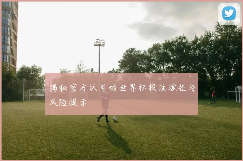 揭秘官方认可的世界杯投注途径与风险提示