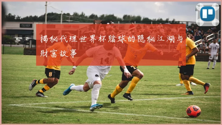 揭秘代理世界杯赌球的隐秘江湖与财富故事