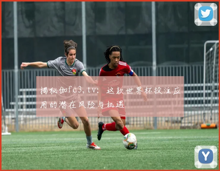 揭秘伽fc3,tv：这款世界杯投注应用的潜在风险与机遇