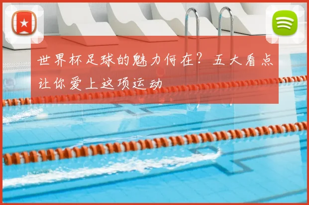 世界杯足球的魅力何在？五大看点让你爱上这项运动