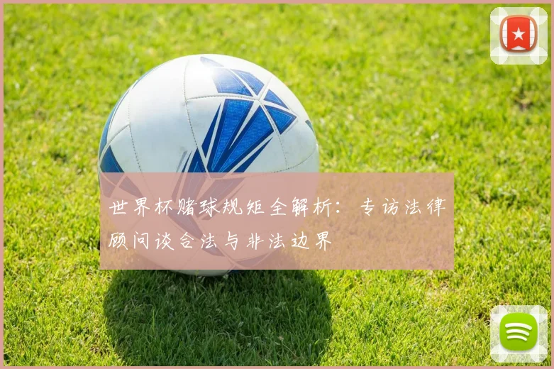 世界杯赌球规矩全解析:专访法律顾问谈合法与非法边界