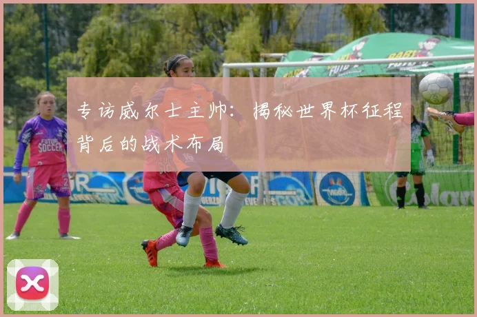 专访威尔士主帅:揭秘世界杯征程背后的战术布局