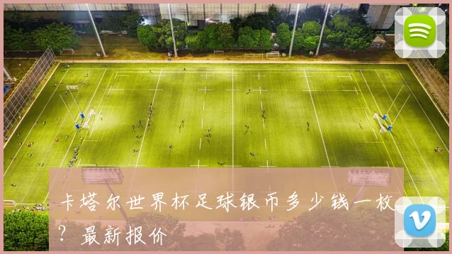 卡塔尔世界杯足球银币多少钱一枚?最新报价