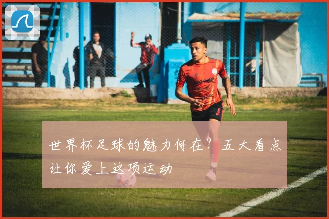 世界杯足球的魅力何在？五大看点让你爱上这项运动